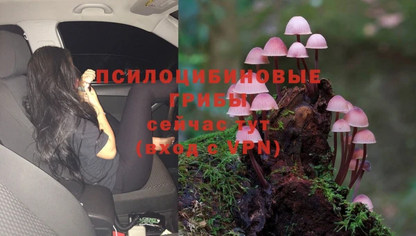 экстази Аркадак